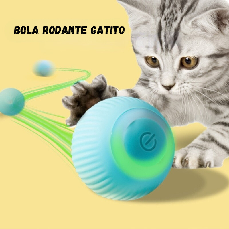 Bola juguetes para gatos